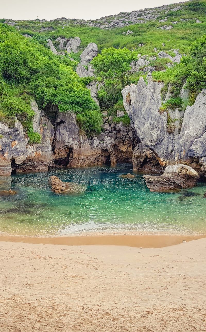 Asistente virtual en Asturias